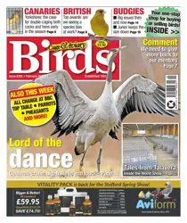 28-Feb-24 
                issue 28-Feb-24