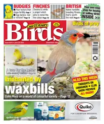 28-Jun-23 
                issue 28-Jun-23