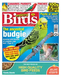 28/04/2021 
                issue 28/04/2021