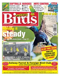 28/07/2021 
                issue 28/07/2021