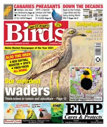 28/09/2022 
                issue 28/09/2022