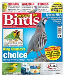 Cage & Aviary Birds 
                issue 28th January 2026