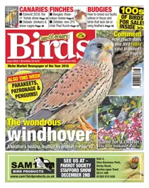 28th November 2018 
                issue 28th November 2018