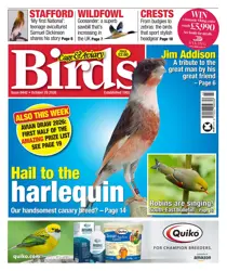 Cage & Aviary Birds issue 28th October 2026