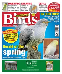 29-Mar-23 
                issue 29-Mar-23