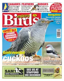 29 November 2017 
                issue 29 November 2017