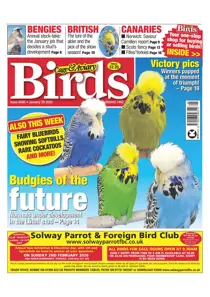 29/01/2020 
                issue 29/01/2020