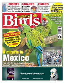 29/04/2020 
                issue 29/04/2020