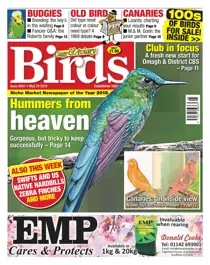 29/05/2019 
                issue 29/05/2019