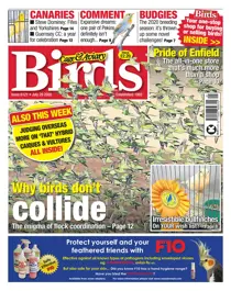 29/07/2020 
                issue 29/07/2020