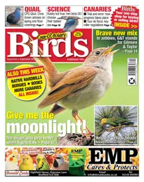 29/09/2021 
                issue 29/09/2021