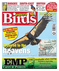 29th October 2025 
                issue 29th October 2025