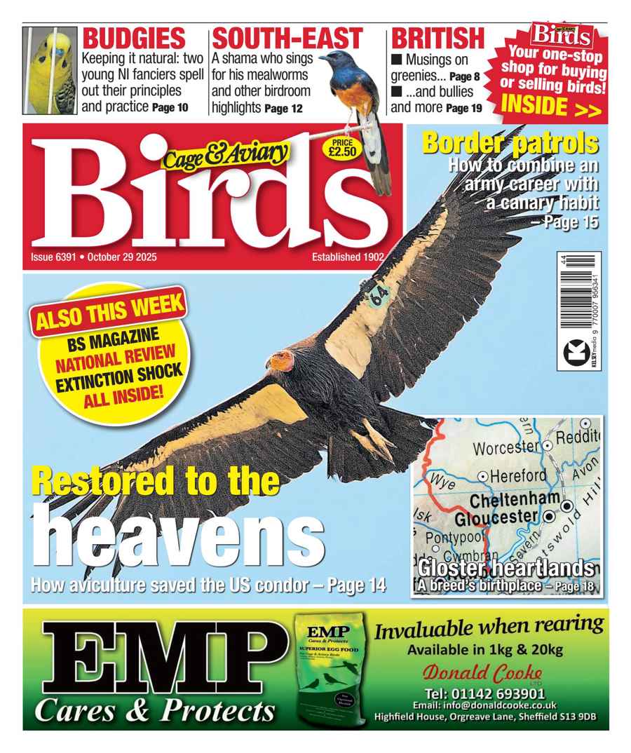 CAGE AND AVIARY BIRDS