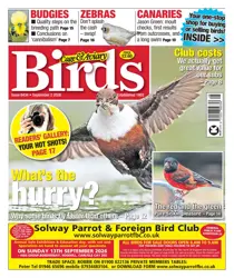 Cage & Aviary Birds 
                issue 2nd September 2026