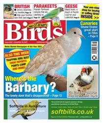 30-Nov-22 
                issue 30-Nov-22