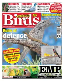 30/06/2021 
                issue 30/06/2021