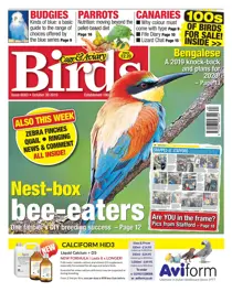 30/10/2019 
                issue 30/10/2019