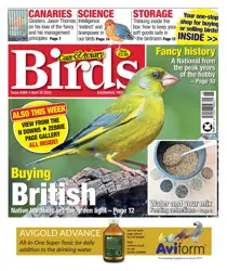 30th April 2025 
                issue 30th April 2025