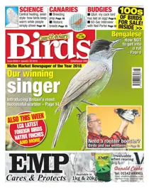 30th January 2019 
                issue 30th January 2019