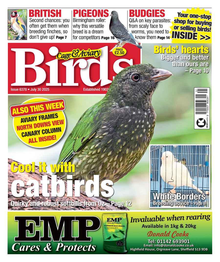 Cage & Aviary Birds issue 30th July 2025