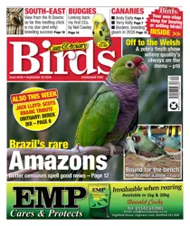 30th September 2026 
                issue 30th September 2026