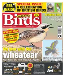 31-Jan-24 
                issue 31-Jan-24