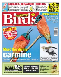 31 January 2018 
                issue 31 January 2018