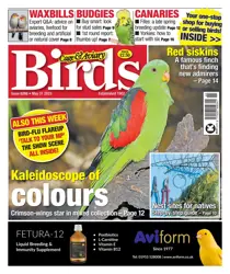 31-May-23 
                issue 31-May-23