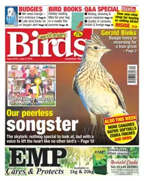 31/07/2019 
                issue 31/07/2019