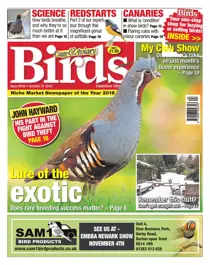 31st October 2018 
                issue 31st October 2018