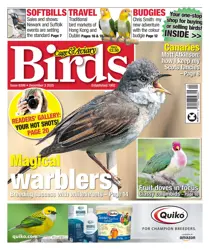 Cage & Aviary Birds issue 3rd December 2025