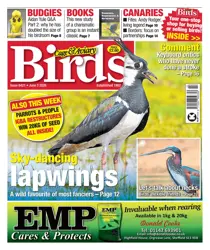Cage & Aviary Birds issue 3rd June 2026