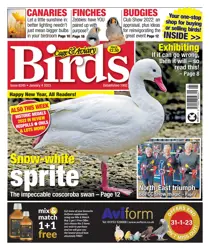 4-Jan-23 
                issue 4-Jan-23