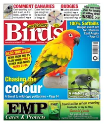 4-Oct-23 
                issue 4-Oct-23