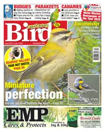 4th July 2018 
                issue 4th July 2018