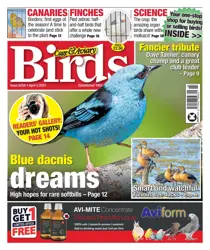 5-Apr-23 
                issue 5-Apr-23