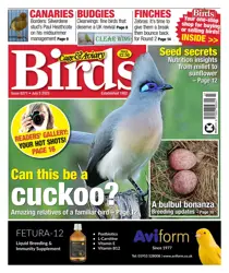 5-Jul-23 
                issue 5-Jul-23