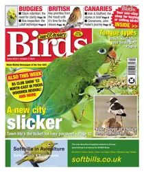 5-Oct-22 
                issue 5-Oct-22