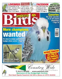 5775 More Champions Wanted 
                issue 5775 More Champions Wanted