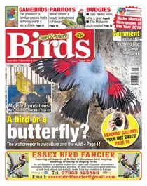 5th December 2018 
                issue 5th December 2018