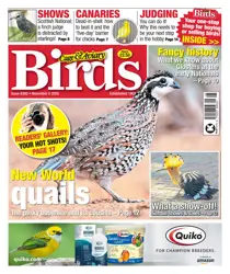 5th November 2025 
                issue 5th November 2025