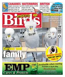 6-Sep-23 
                issue 6-Sep-23