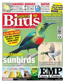 6143 January 06 2021 
                issue 6143 January 06 2021