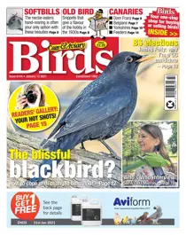 6144 January 13 2021 
                issue 6144 January 13 2021