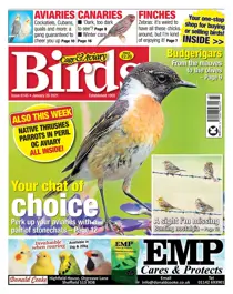 6145 January 20 2021 
                issue 6145 January 20 2021