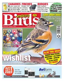 6146 January 27 2021 
                issue 6146 January 27 2021