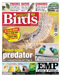 6147 February 03 2021 
                issue 6147 February 03 2021