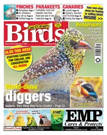 6149 February 17 2021 
                issue 6149 February 17 2021