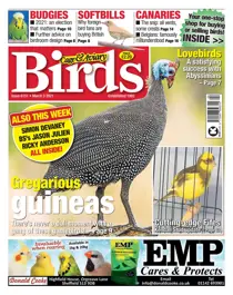 6151 March 03 2021 
                issue 6151 March 03 2021