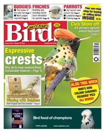 6152 March 10 2021 
                issue 6152 March 10 2021